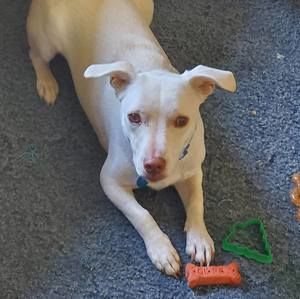 Meet your Posher, Cathy